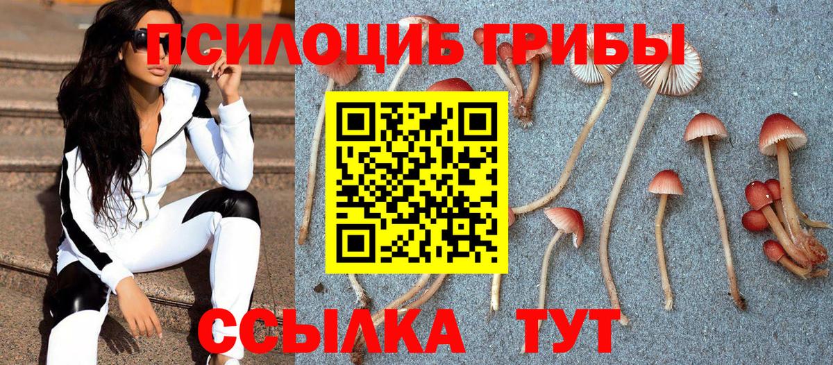Псилоцибиновые грибы GOLDEN TEACHER Миллерово
