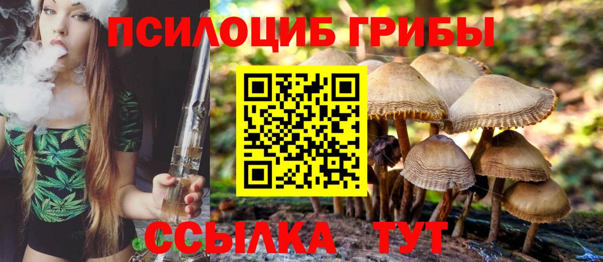 что такое наркотик  Галлюциногенные грибы мицелий  Вход с VPN  Миллерово  Псилоцибиновые грибы Psilocybe 